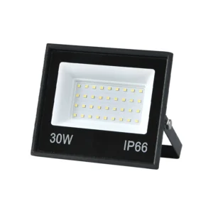 Proyector de Área Led 30W IP66 Línea Económica