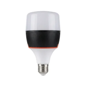Ampolleta LED Recargable de Emergencia, Portátil 30W BL-599 Incluye Pilas