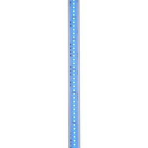 Cinta LED COB 288 de 220v Azul, Flexible de Alto Brillo, Impermeable IP65